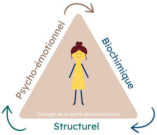 Triangle de la santé Kinésiologie
