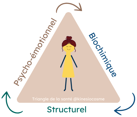 Triangle de la santé Kinésiologie